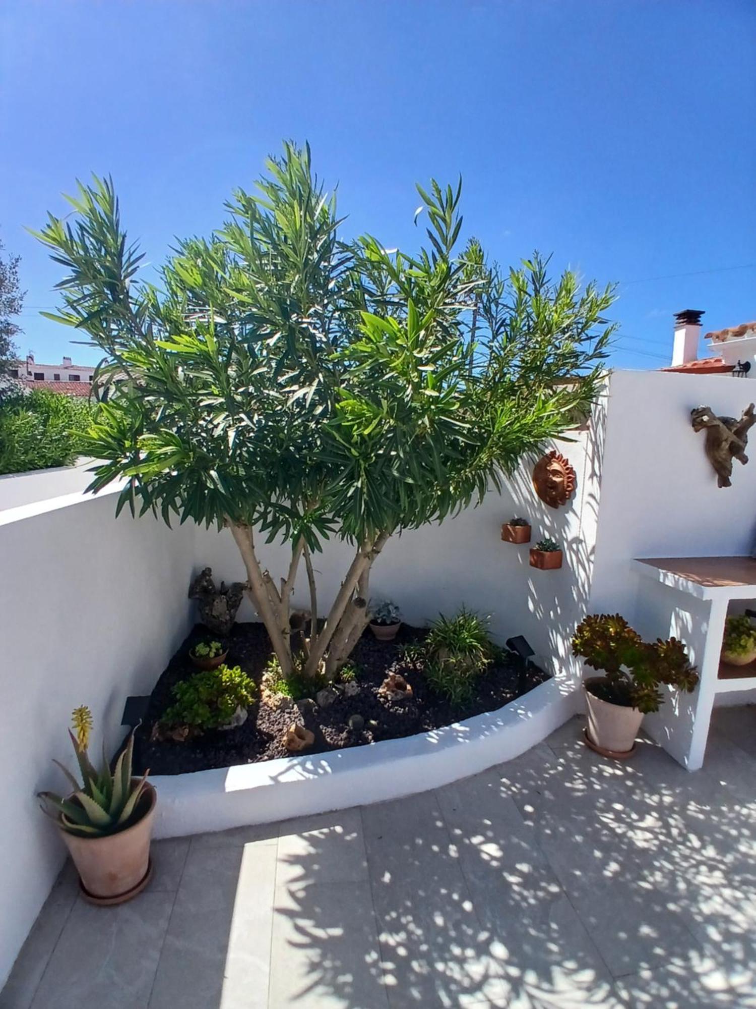 Tramontana Villa Cala En Porter  Exterior foto